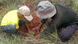 Jung und Alt pflanzen gemeinsam Bäume gegen den Klimawandel auf Madagaskar