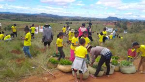Kinder pflanzen zusammen mit dem Deutsch Madagassischen Schulverein Bäume gegen den Klimawandel auf Madagaskar